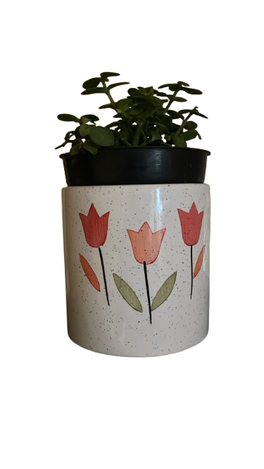 https://uthhan.gergstore.com/artisan_uploads/product_image/Pradeep Kumar 7316/aaf75f47-f3c3-4003-81cc-7f4063a3dccc-removebg-preview.png